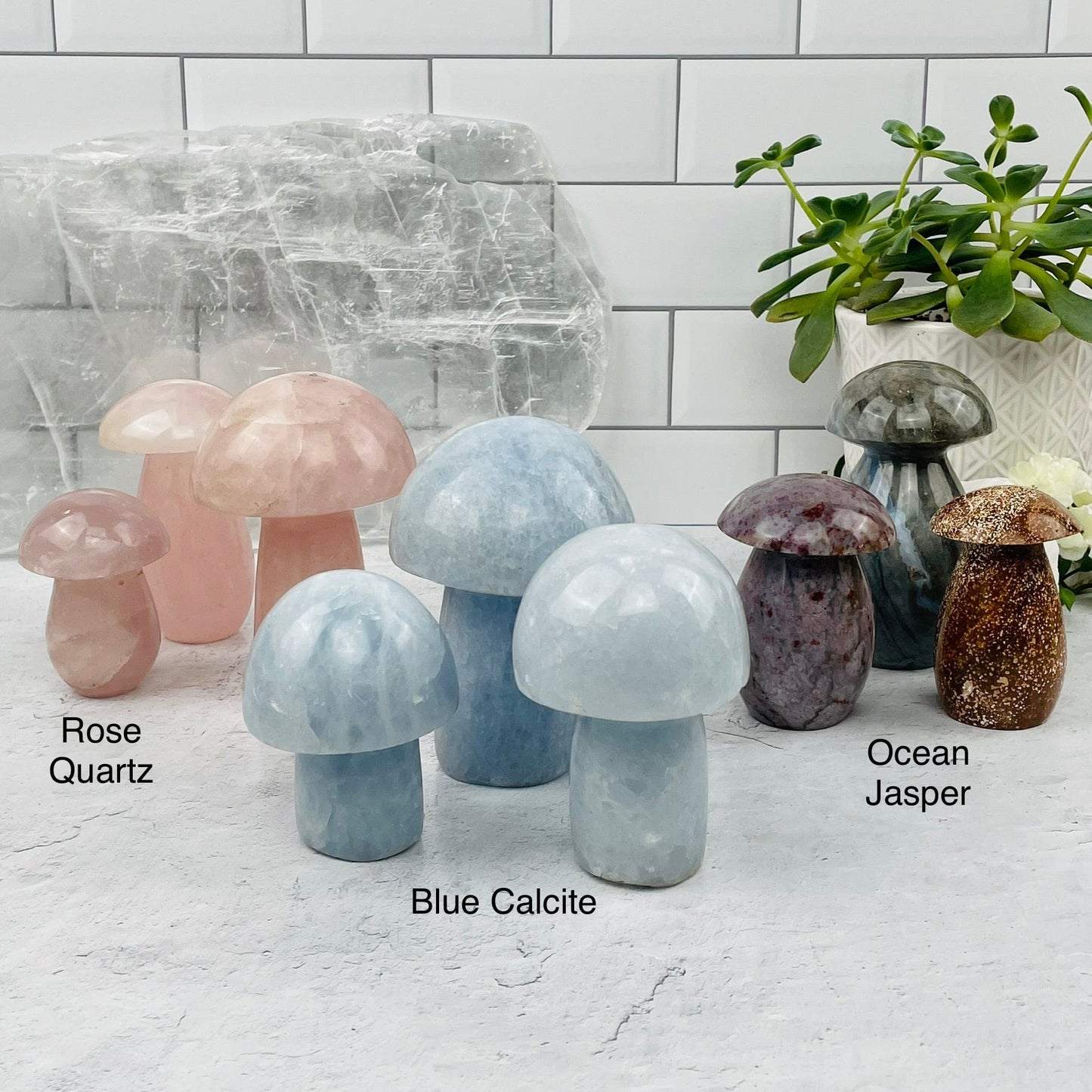 gemstone mushroom next to its crystal name