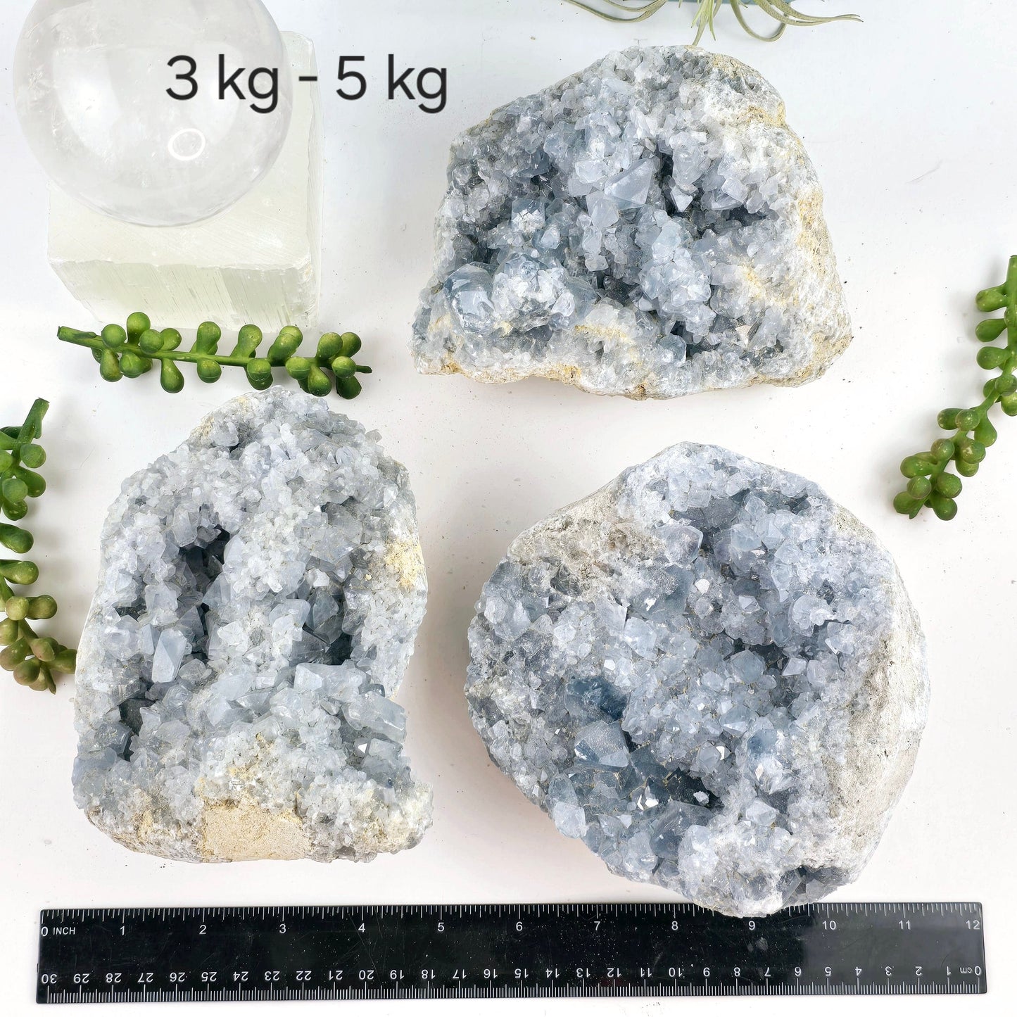 Celestite Crystal Cluster - By Weight 3kg - 5kg variant labeled with ruler for size reference