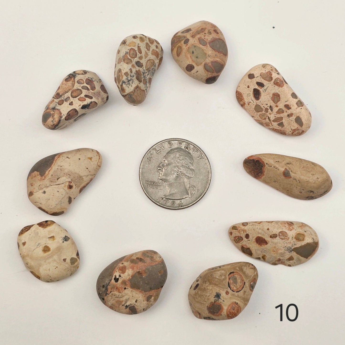 Leopard Skin Jasper Small Tumbled Stone - Tumbled Crystal - You Choose Quantity 1, 5, 10 - 10 quantity labeled with quarter for size reference