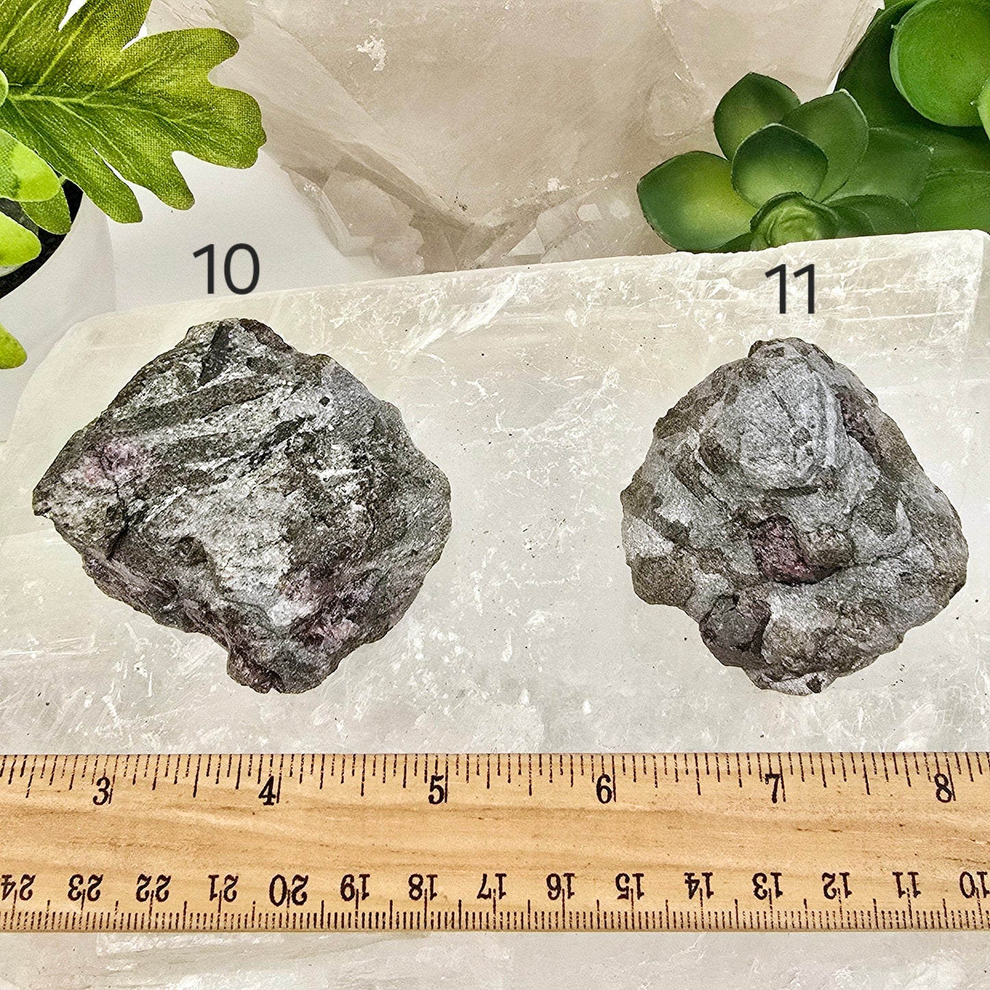 Garnet Crystals in Mica Schist - You Choose #1 variants 10 and 11 labeled with ruler for size reference