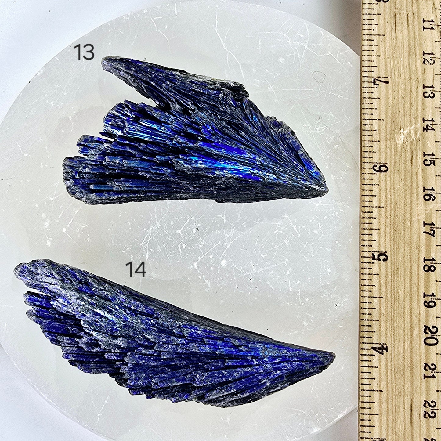 Black Kyanite Titanium Coated Crystal Cluster - You Choose variants 13 and 14 labeled with ruler for size reference
