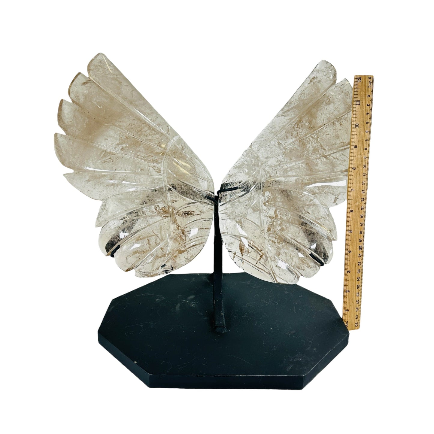 butterfly wings on white background