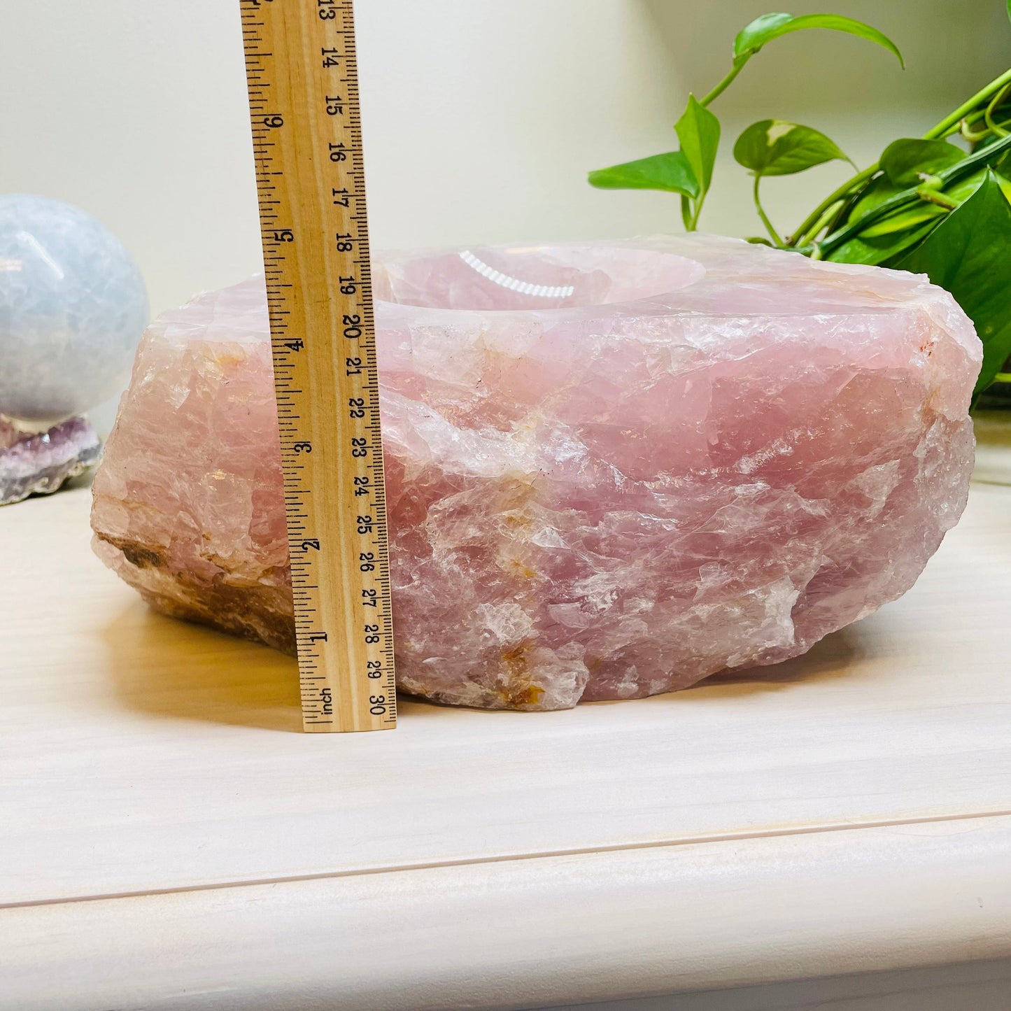bowl next to a ruler for size reference