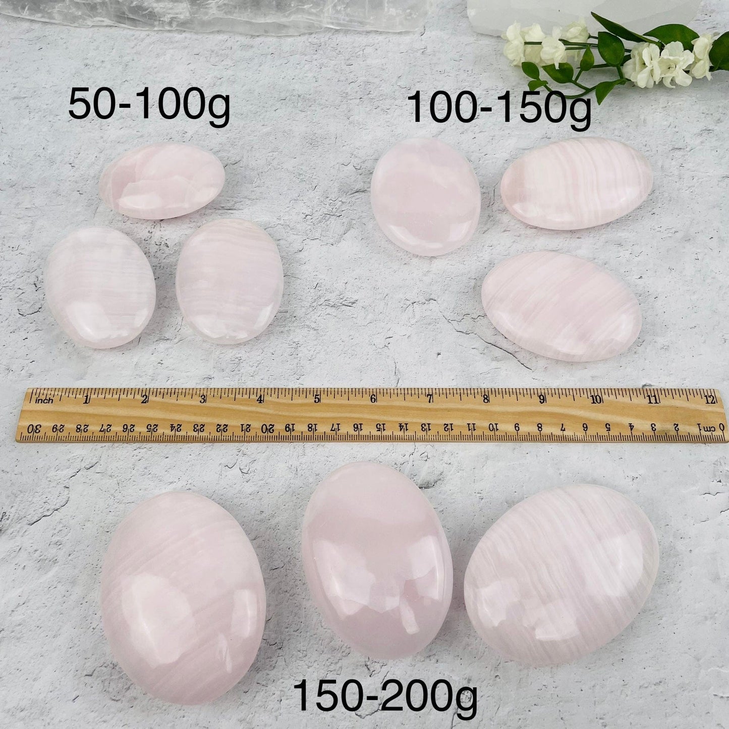 palm stone next to a ruler for size reference