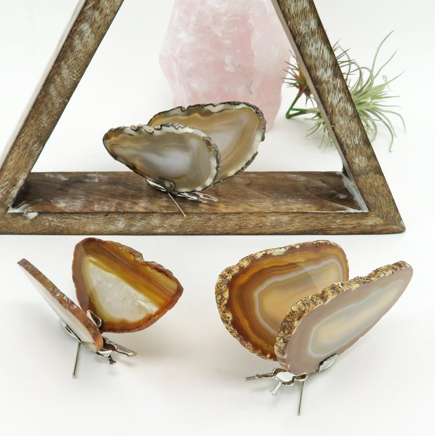 Agate Druzy Butterfly Stands in an alter with a white background.