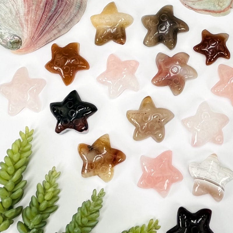 multiple starfish displayed to show the differences in the colors and sizes