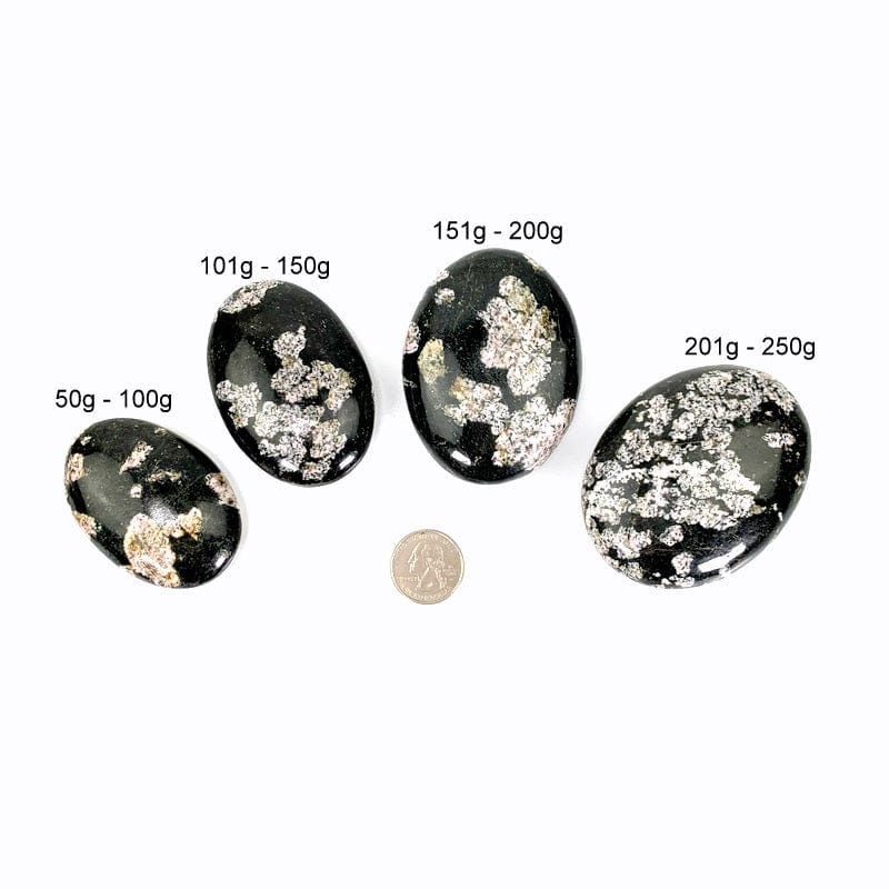 all 4 variations on a white background surrounding a quarter