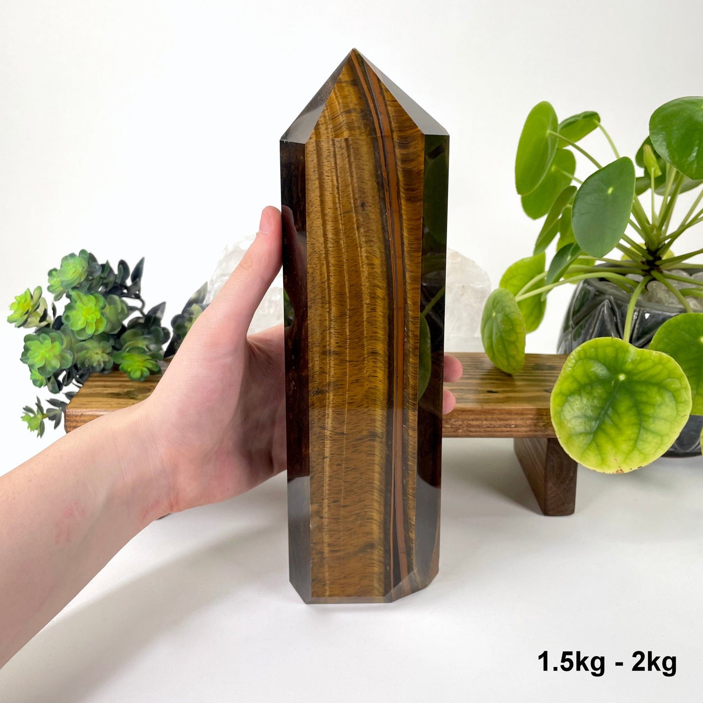 one 1.5kg - 2kg tigers eye polished point in hand for size reference