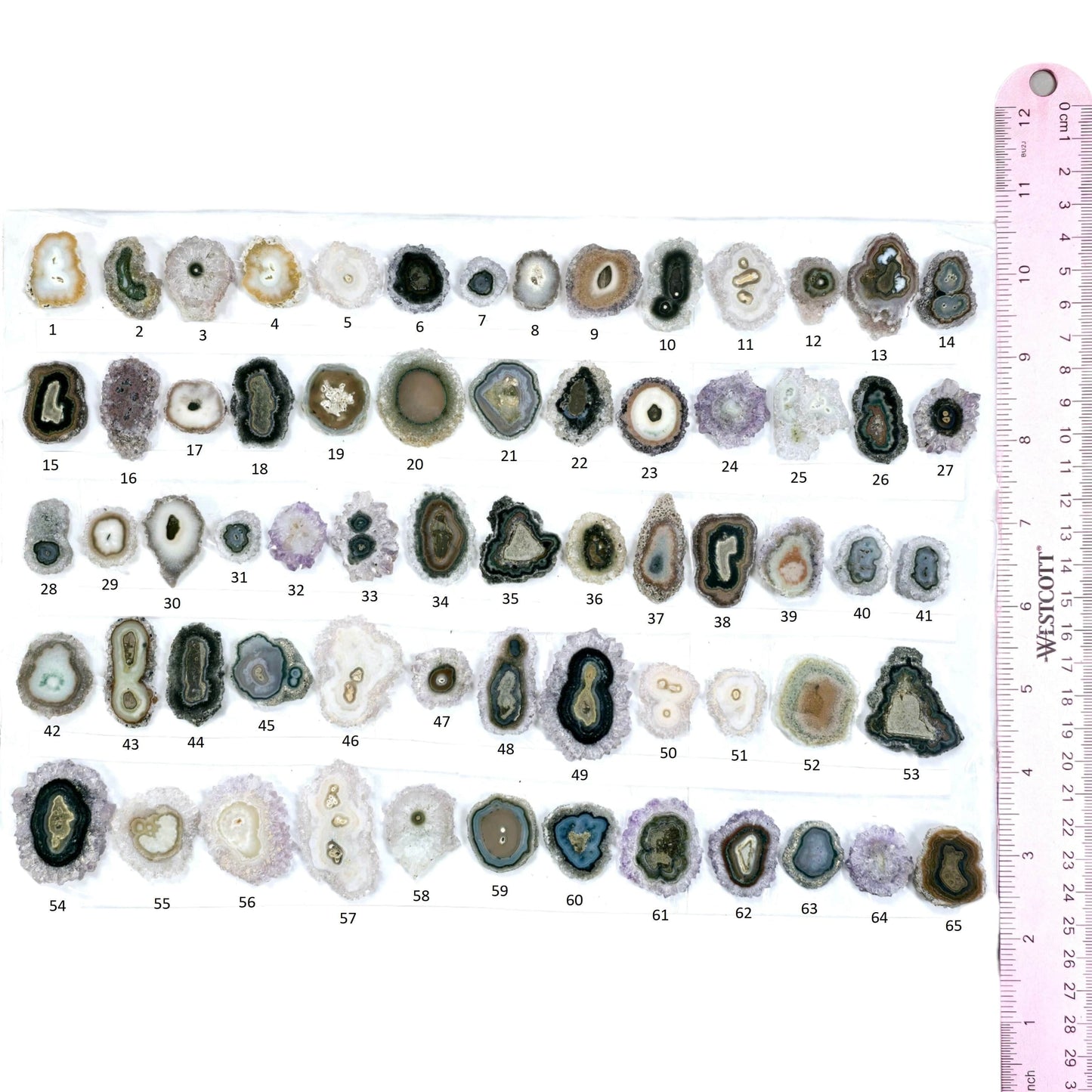 Amethyst Stalactite Crystal Slices - You Choose #2 all variants labeled with ruler for size reference