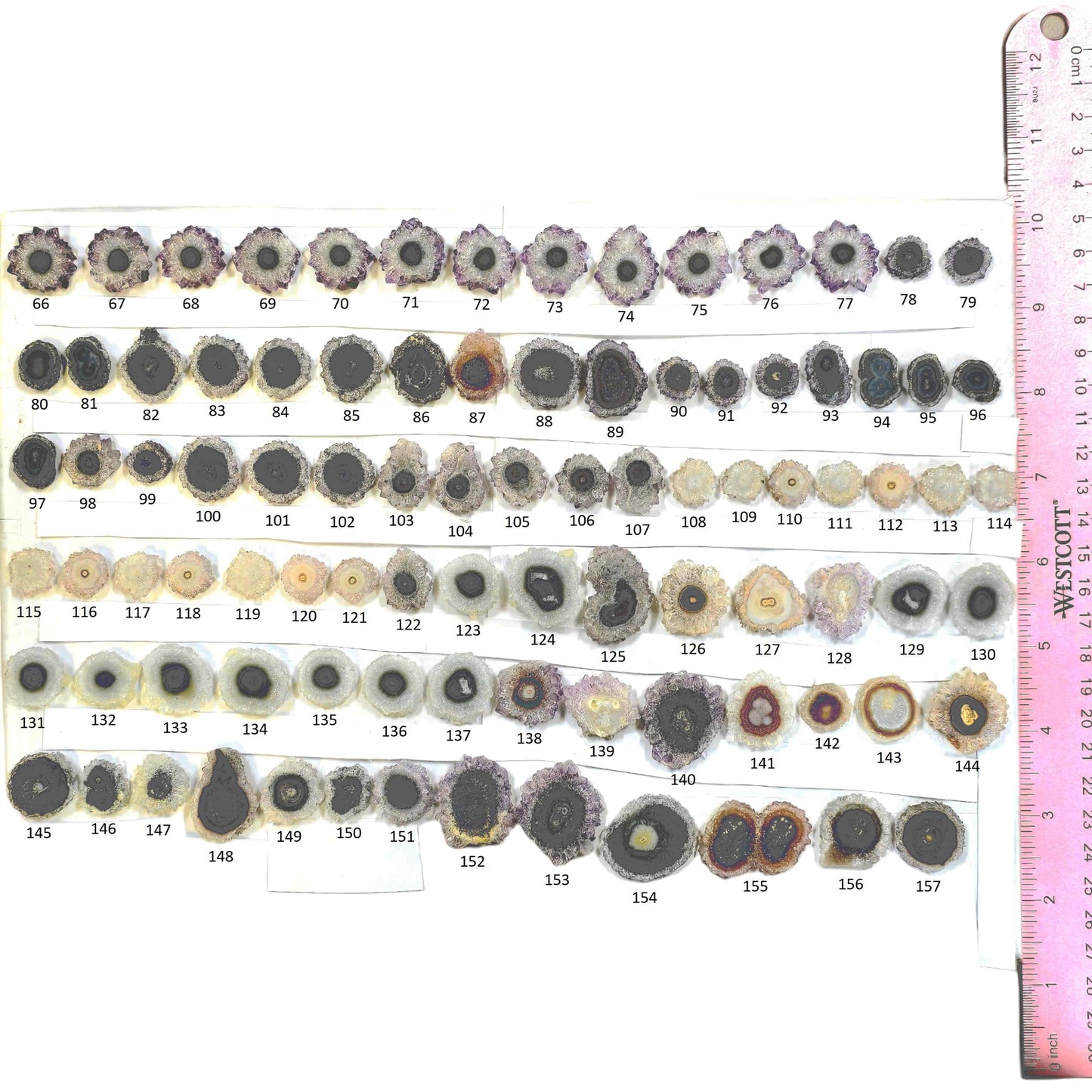 Amethyst Stalactite Crystal Slices - You Choose #3 all variants labeled with ruler for size reference
