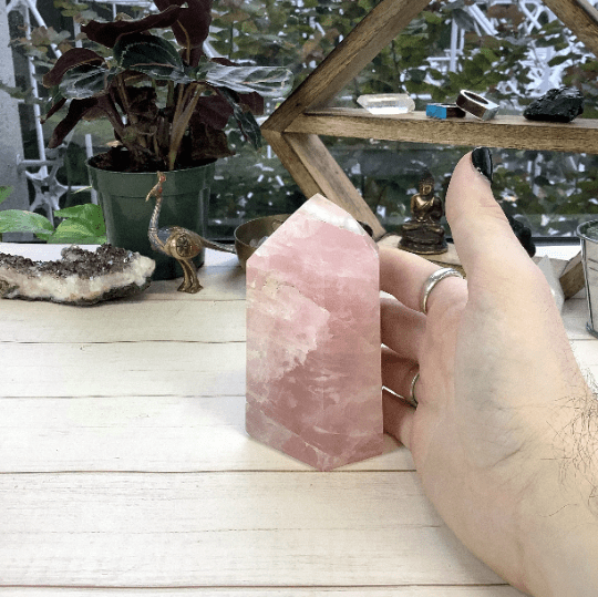 polished rose quartz point in hand for size reference