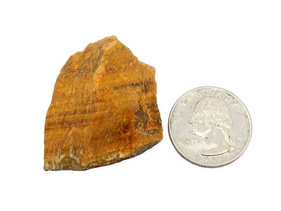 one cluster next to a quarter for size reference