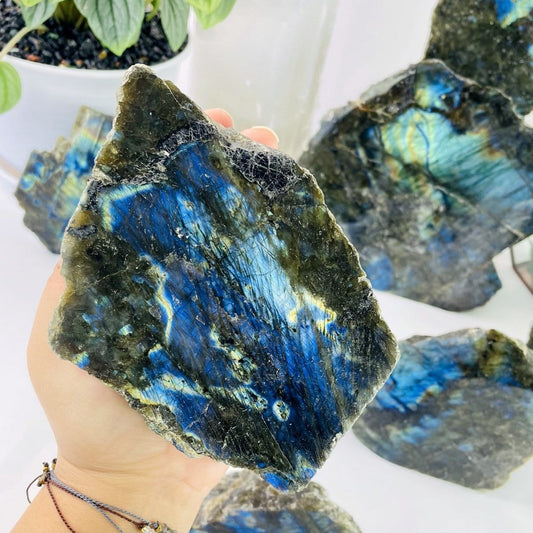 labradorite Cut Base Semi-Polished Stone displayed in hand for size reference