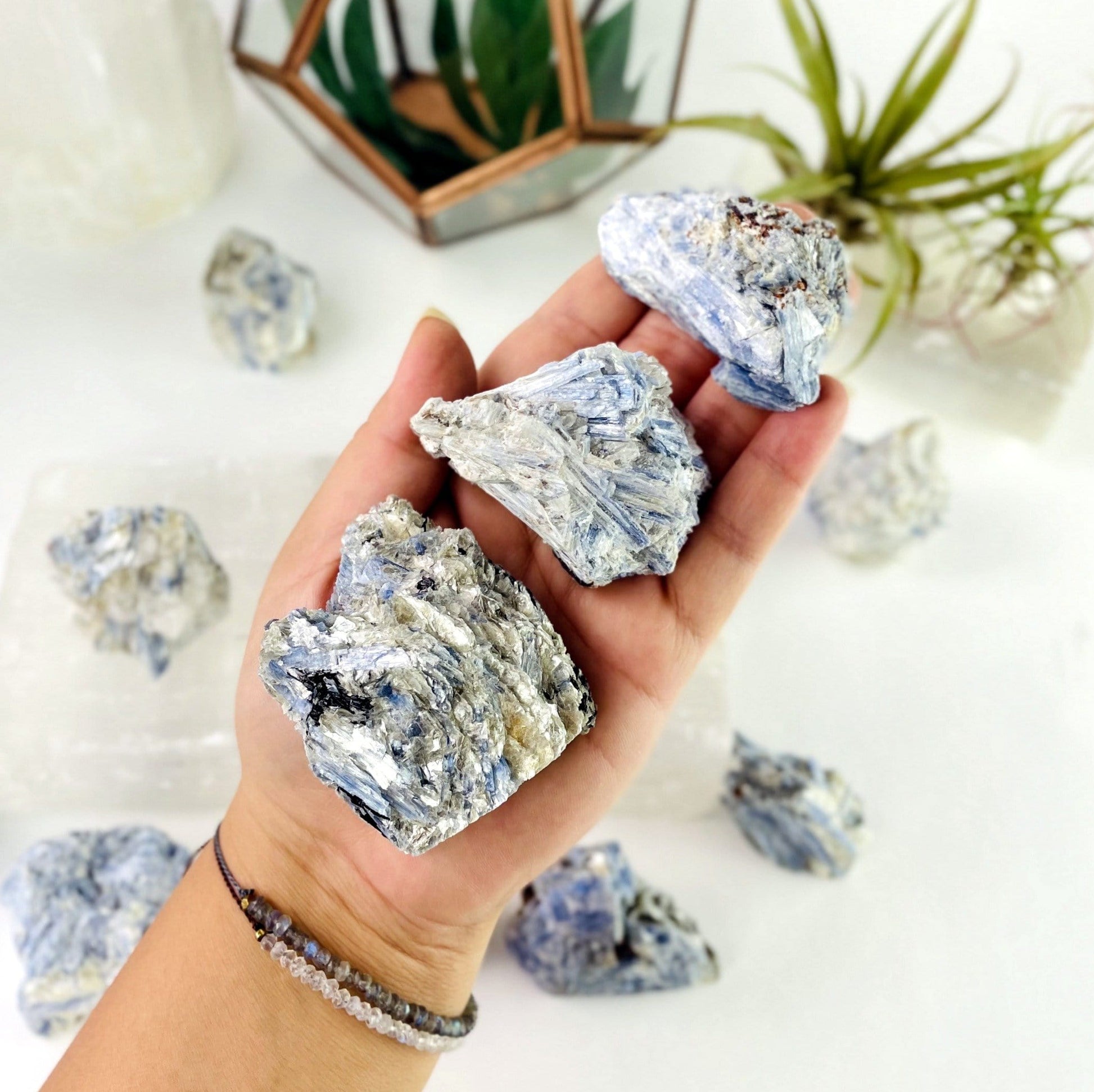 raw blue kyanite in hand to show size reference