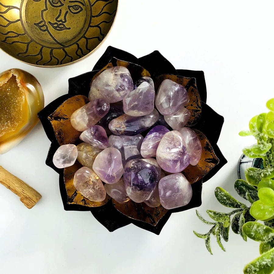 1 lb Amethyst Tumbled Gemstones in a bowl