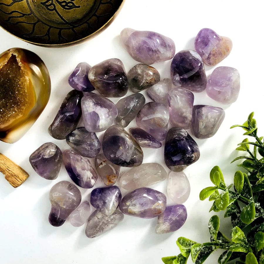 1 lb Amethyst Tumbled Gemstones