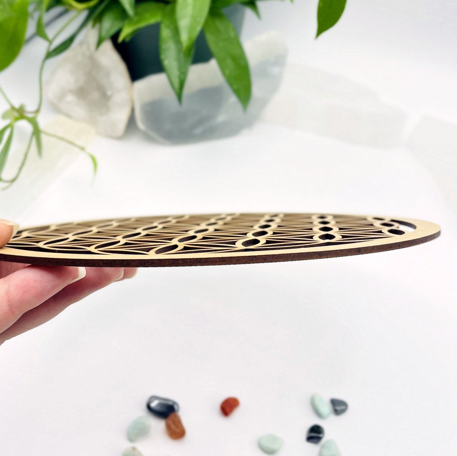 hand holding crystal grid showing side view with crystals and plants blurred on white background