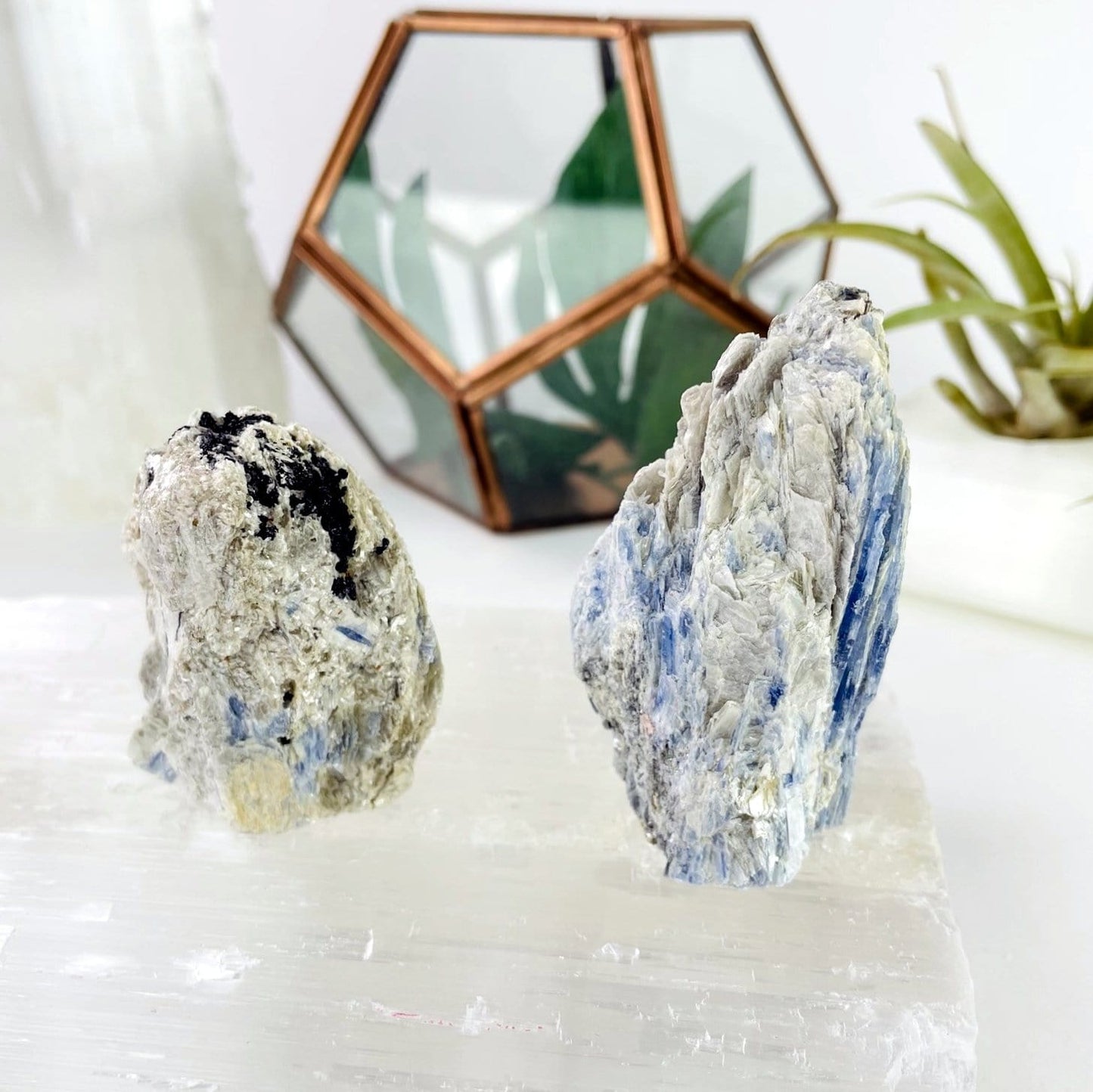 kyanite displayed for side view and variation in stone