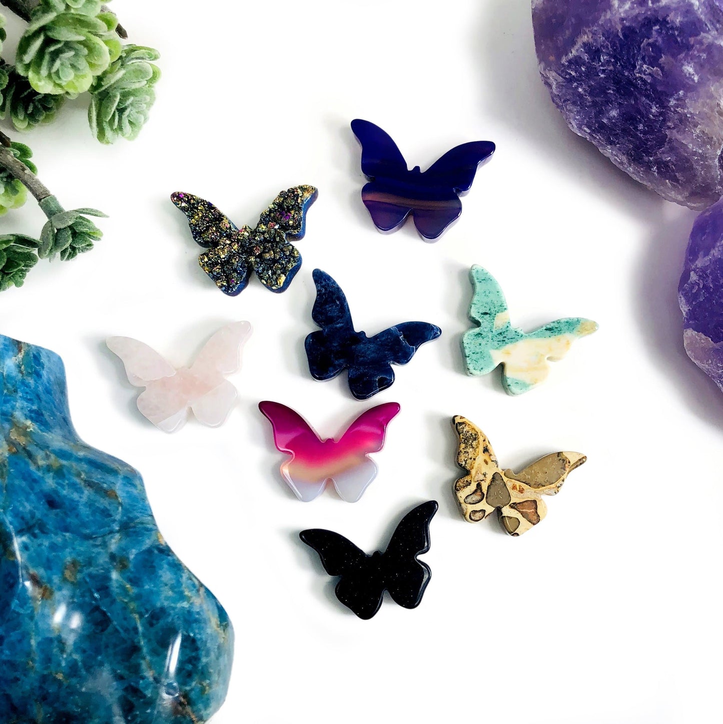 One of each Butterfly Gemstone Cabochon displayed on a white surface