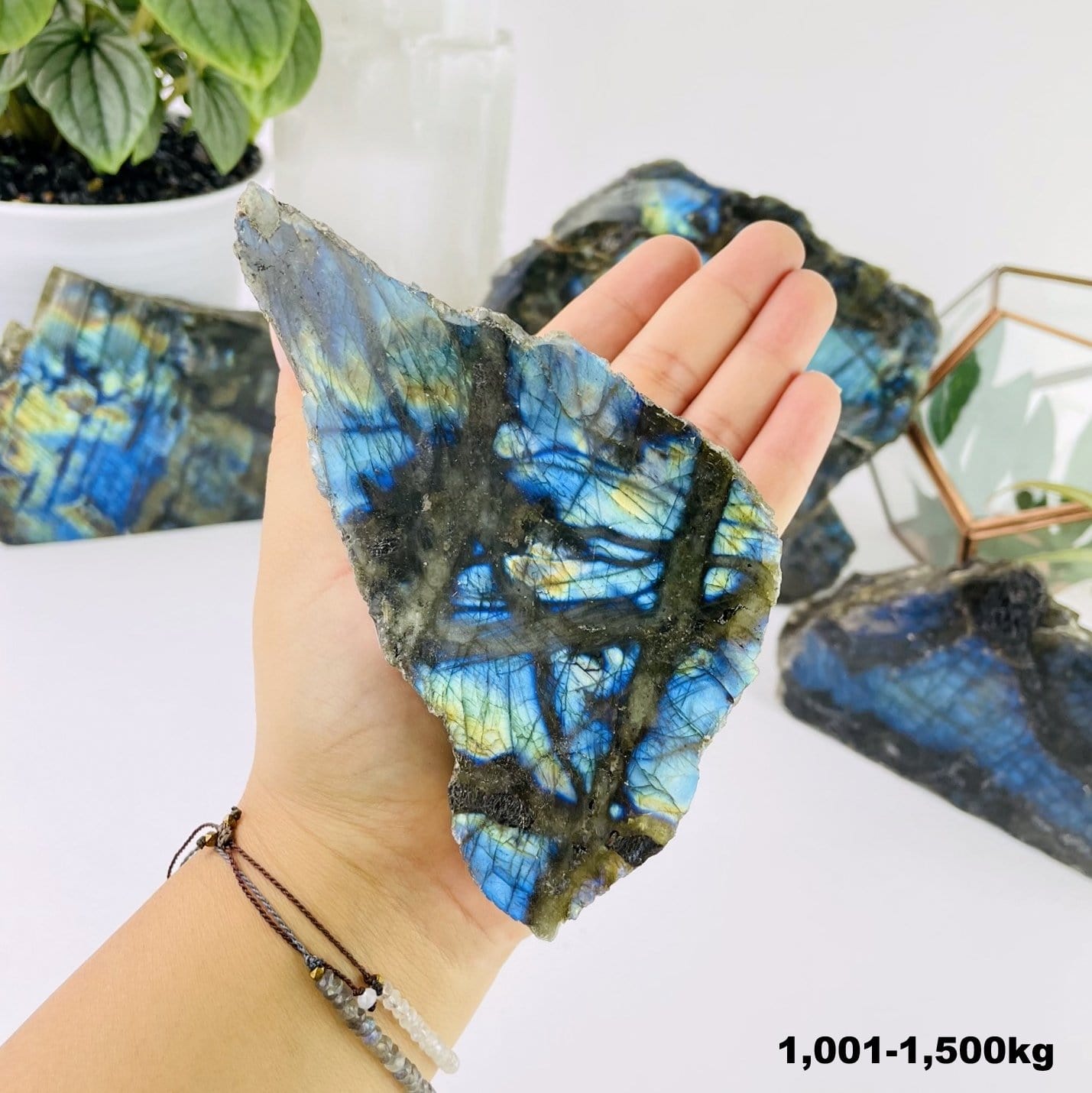 labradorite cut base in hand for size reference weight in 1001-1500kg