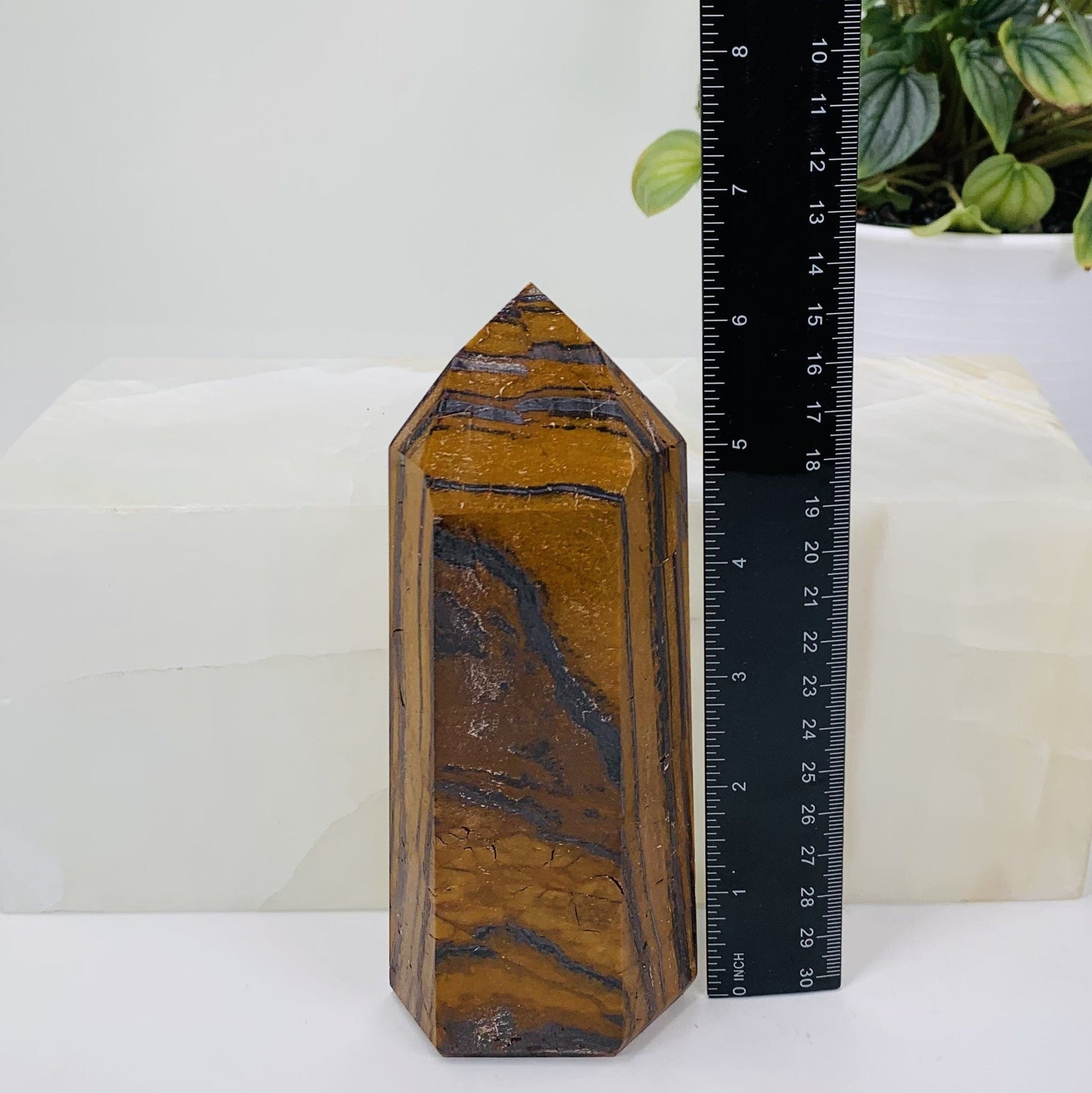 Front side shot of Tigers eye polished tower, the tigers eye tower is being displayed next to a black ruler for size reference. There is also an all natural green plant next to this items. 