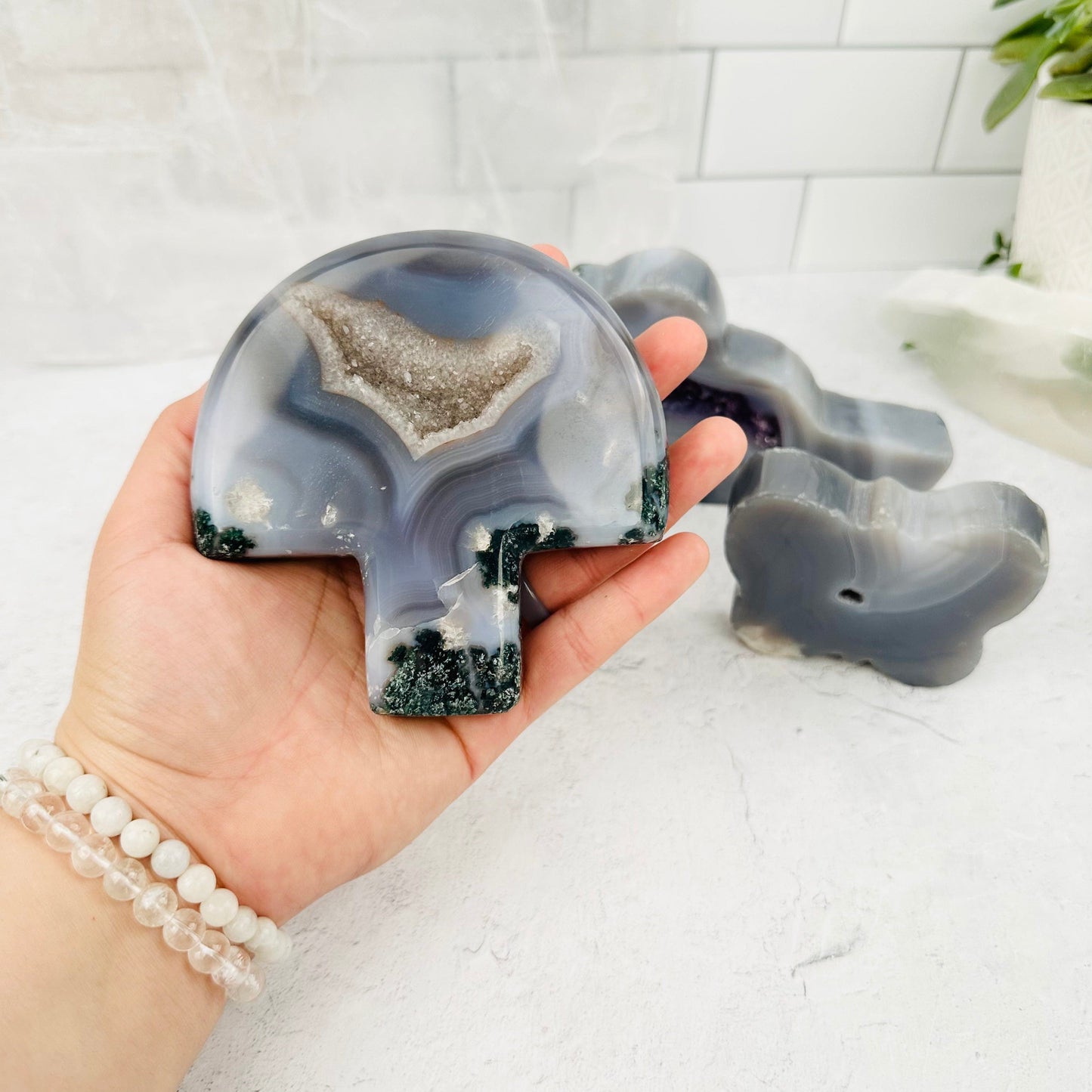Agate Druzy Wildlife Set - YOU GET ALL