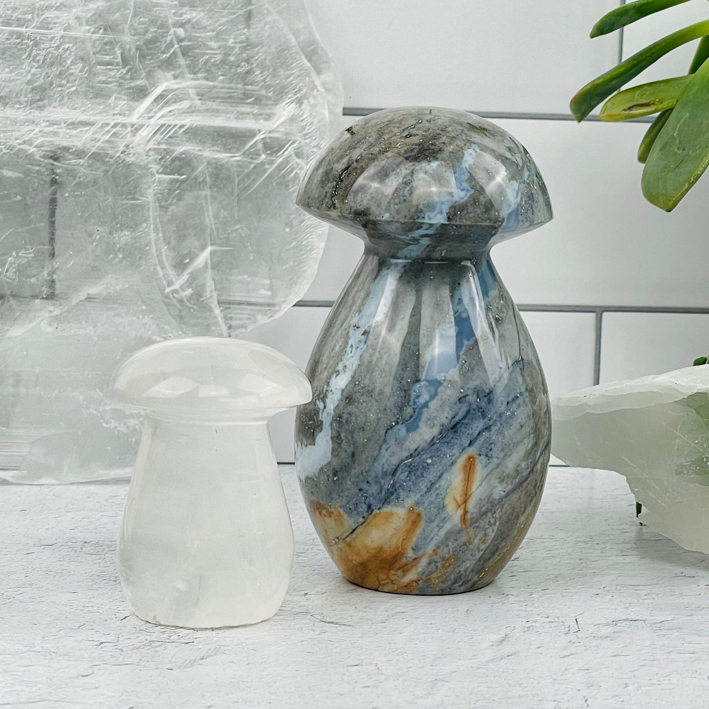 Gemstone Mushrooms displayed as home decor 