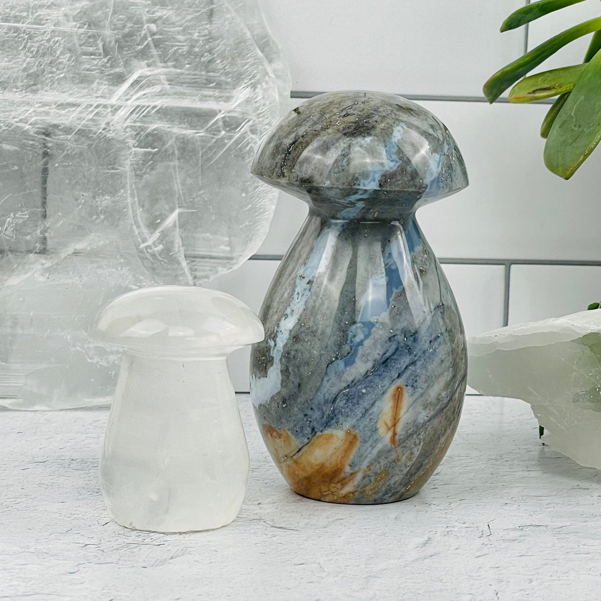 Gemstone Mushrooms displayed as home decor 