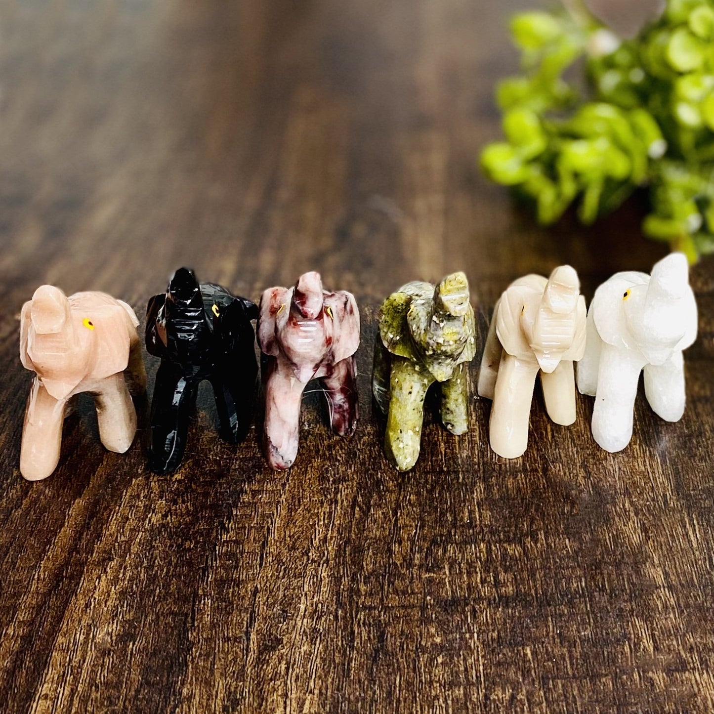 Elephant Shaped Mini Statues in assorted stones line up