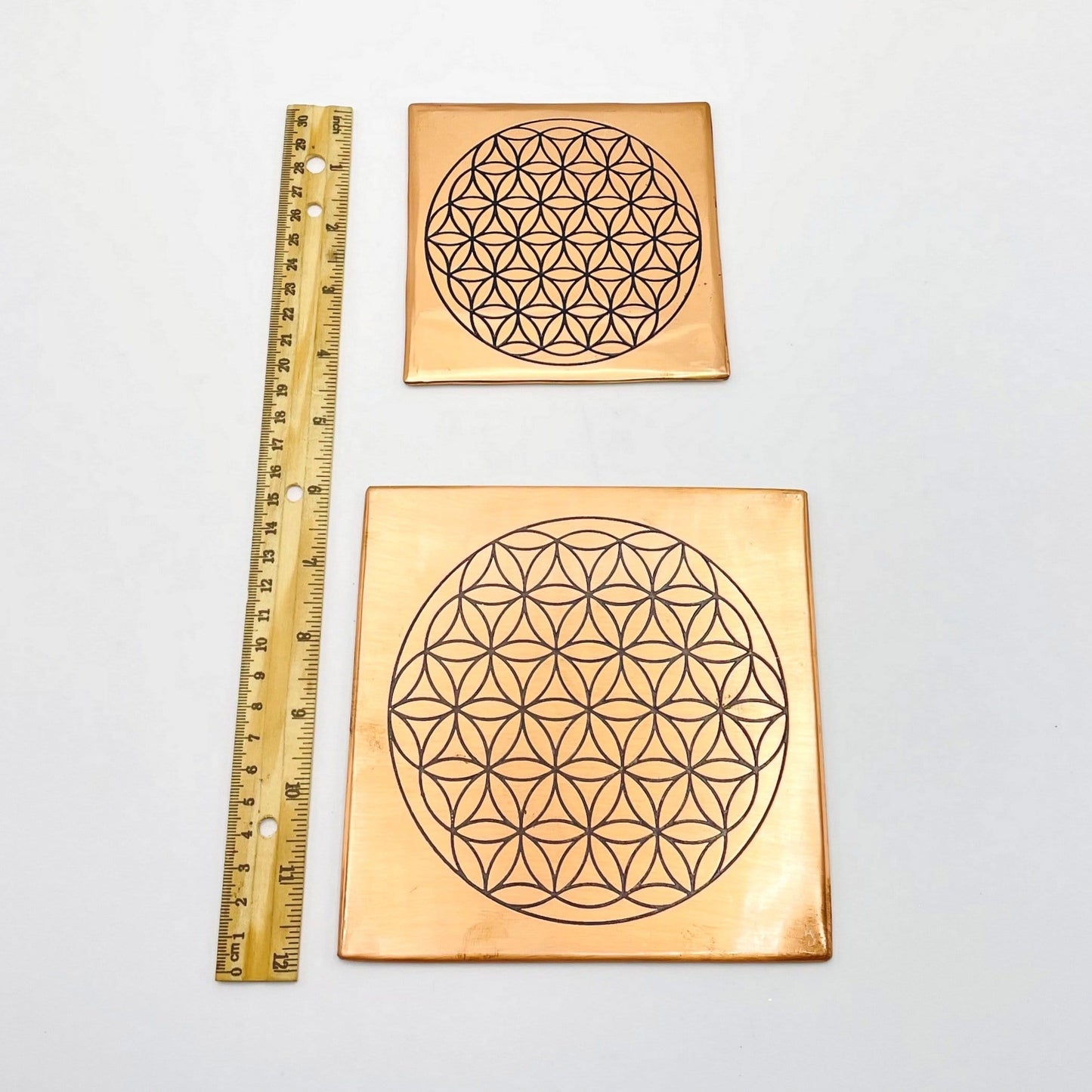 large and small copper grids displayed next to a ruler 