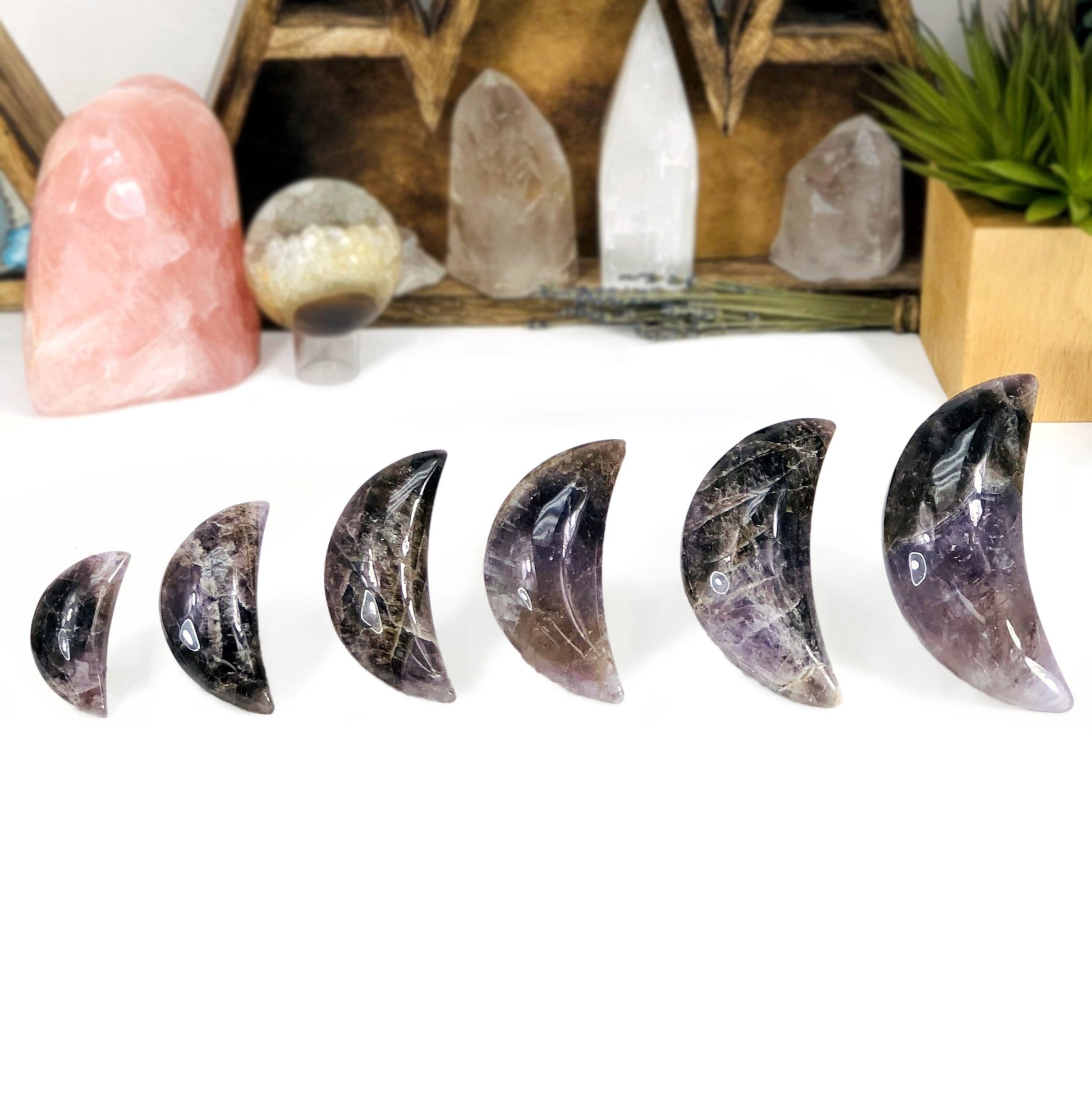 all seven minerals in one polished moon weight options in front of backdrop for size comparison