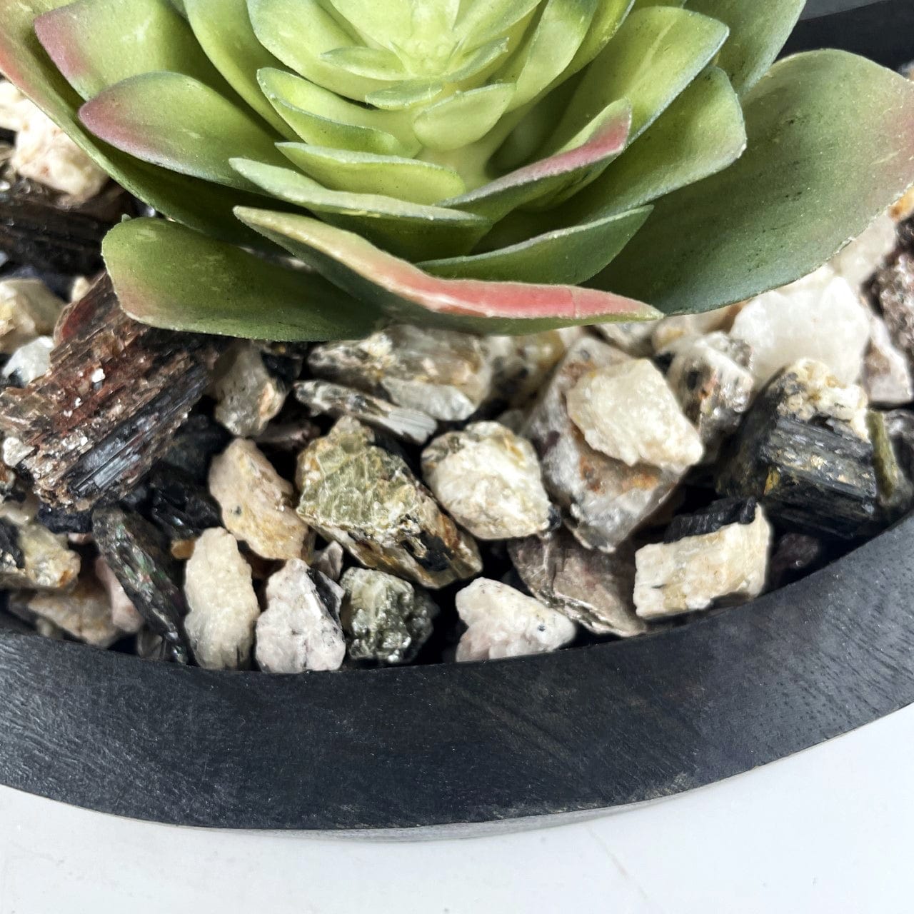 Black Tourmaline on Matrix Rough Stones around the base of a plant