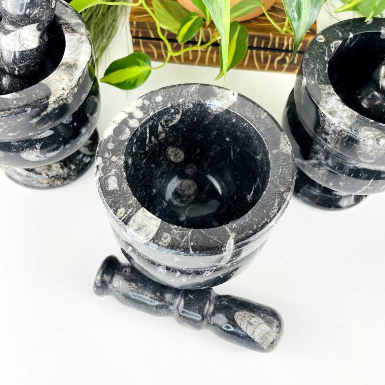 Orthoceras Fossil Mortar and Pestle looking down from above with pestle beside it!