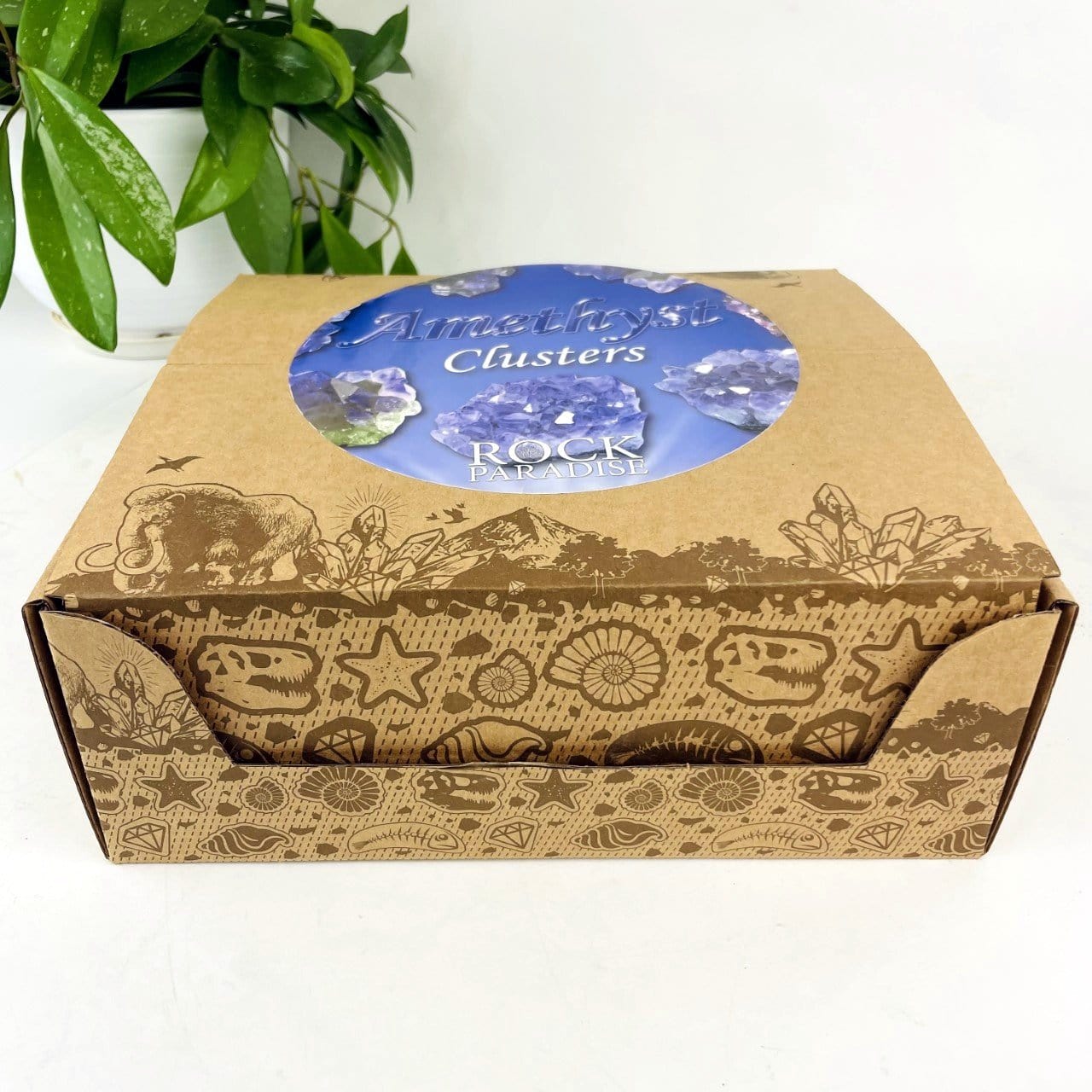 Amethyst Aura Crystal - Box of Geodes - Point of Purchase Display