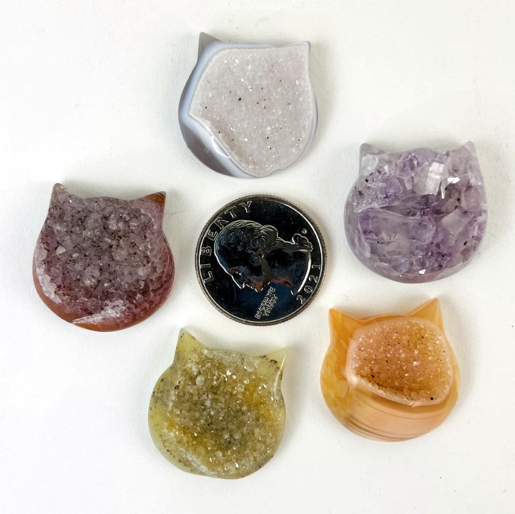 Agate Druzy Cat Heads next to a quarter for size reference.