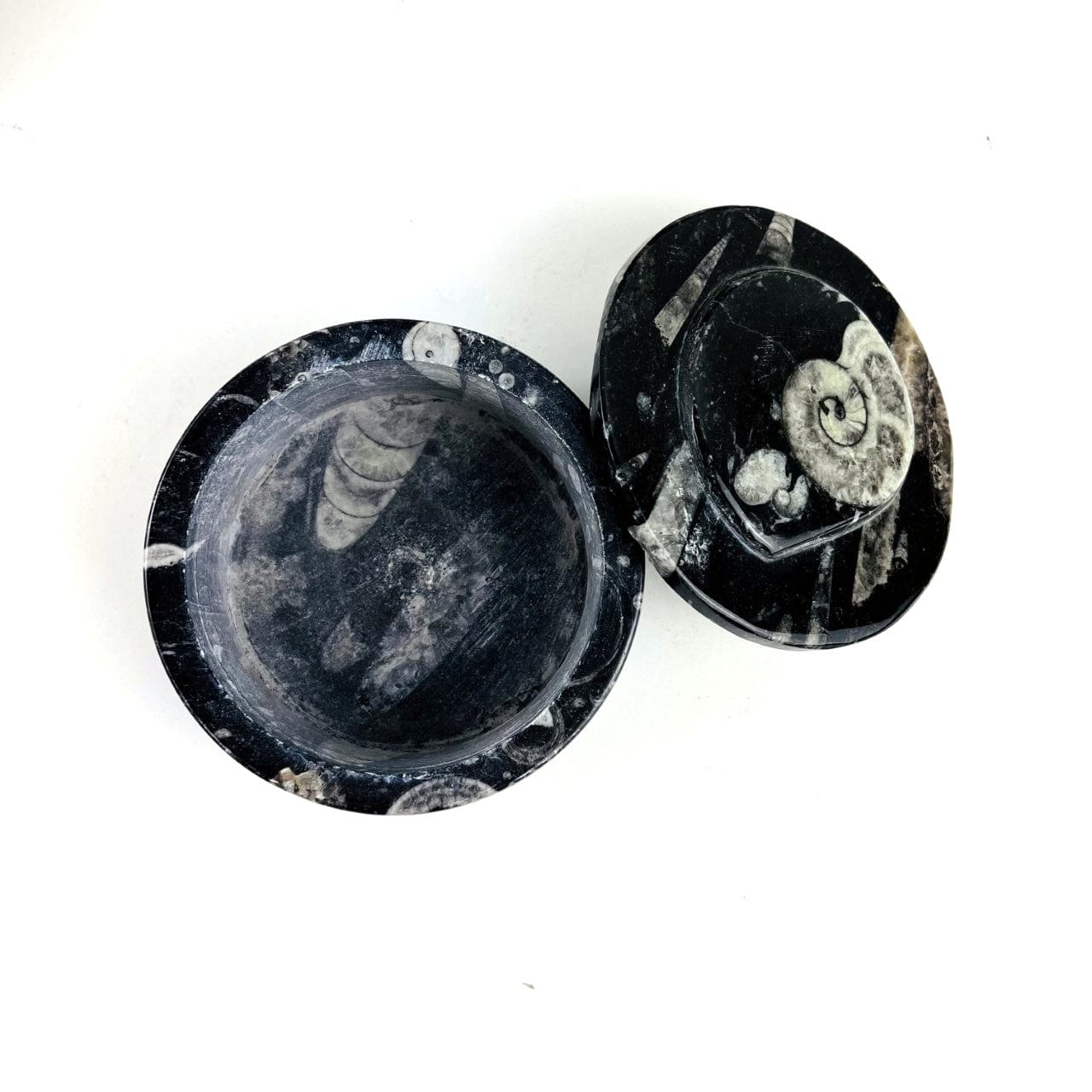 Orthoceras Round Box open with lid to the side