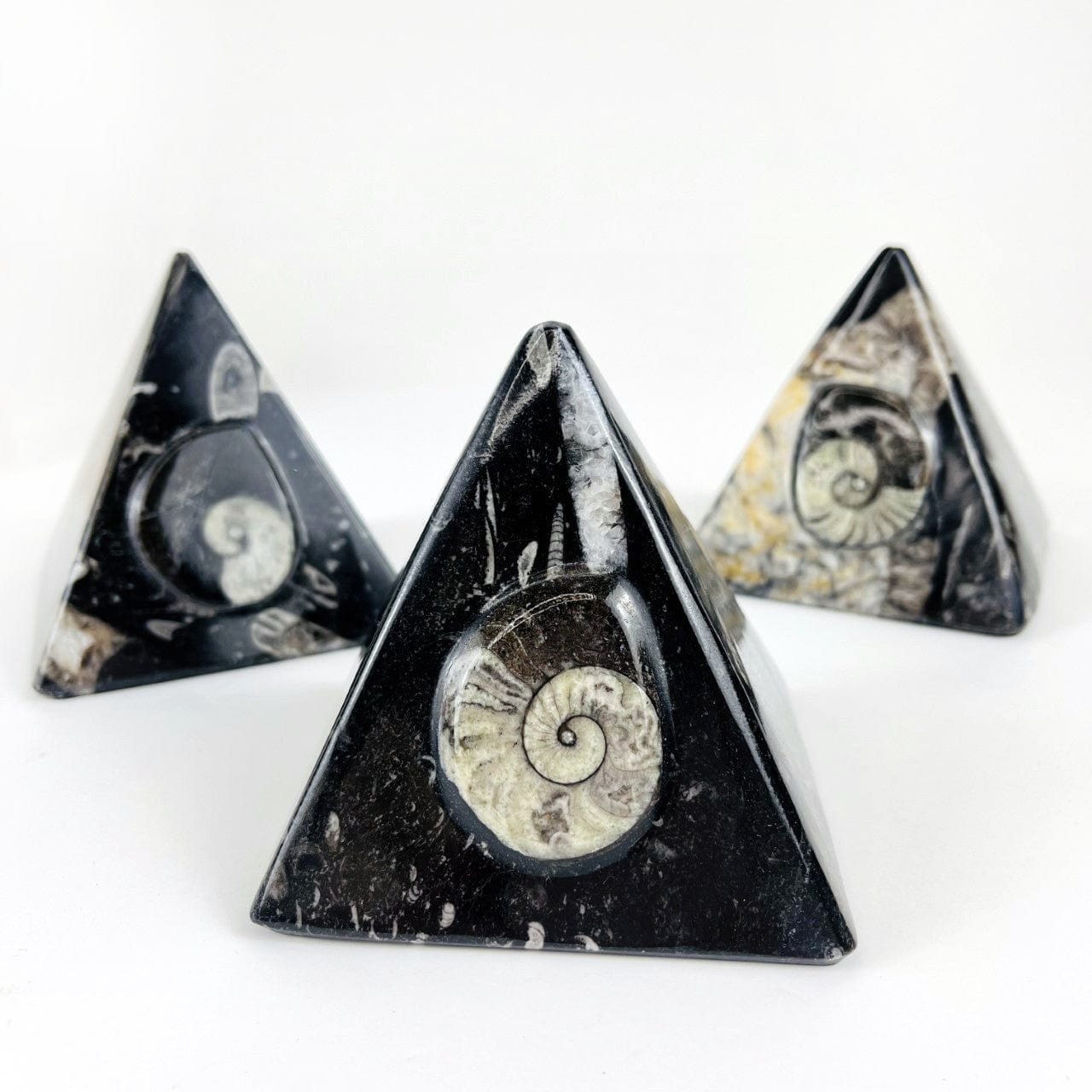 3 Ammonite and Orthoceras Fossil Pyramids