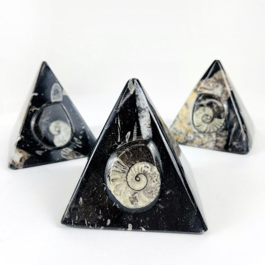 3 Ammonite and Orthoceras Fossil Pyramids