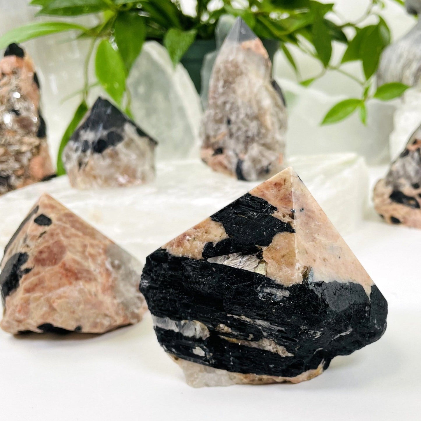 Semi-polished Points up close to show the natural details