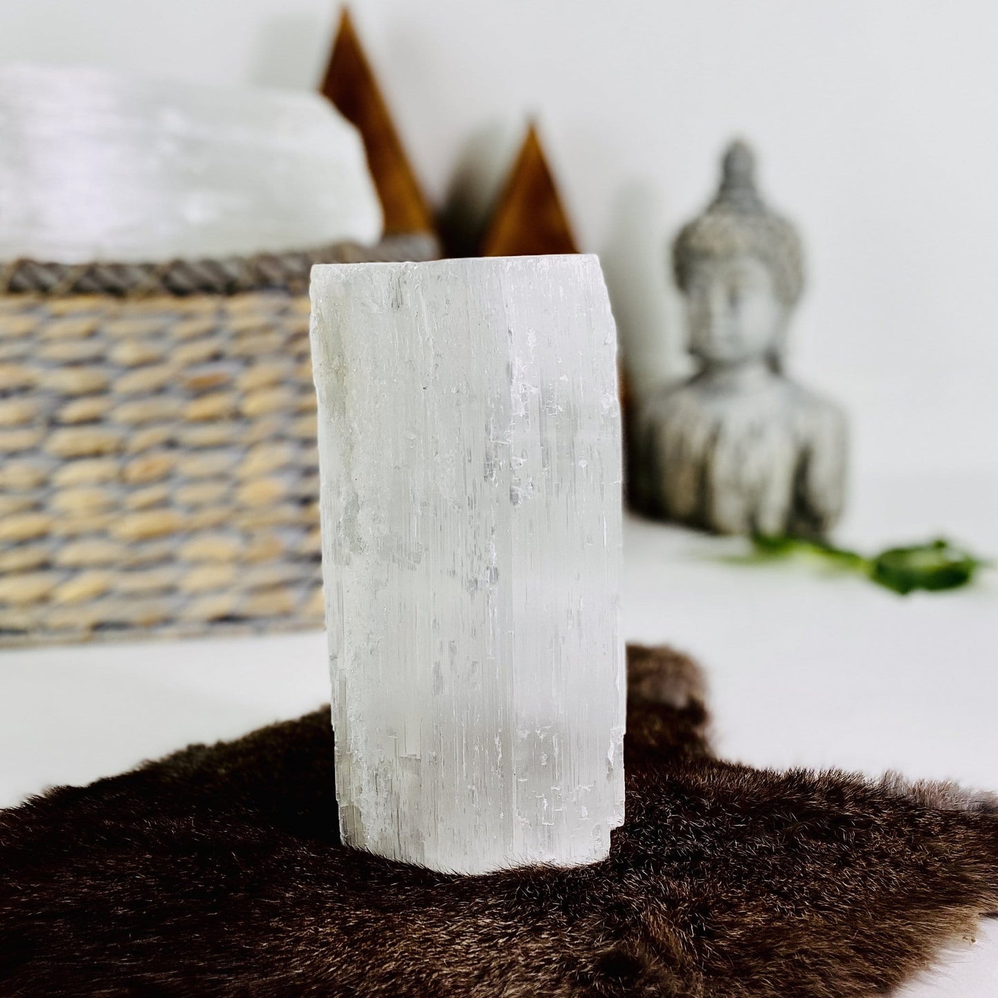 large selenite log on display