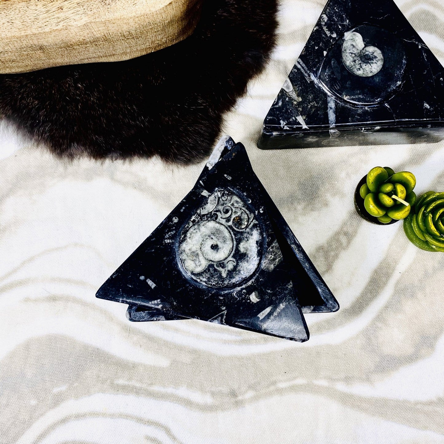 Aerial view of Orthoceras Ammonite Triangle Box.