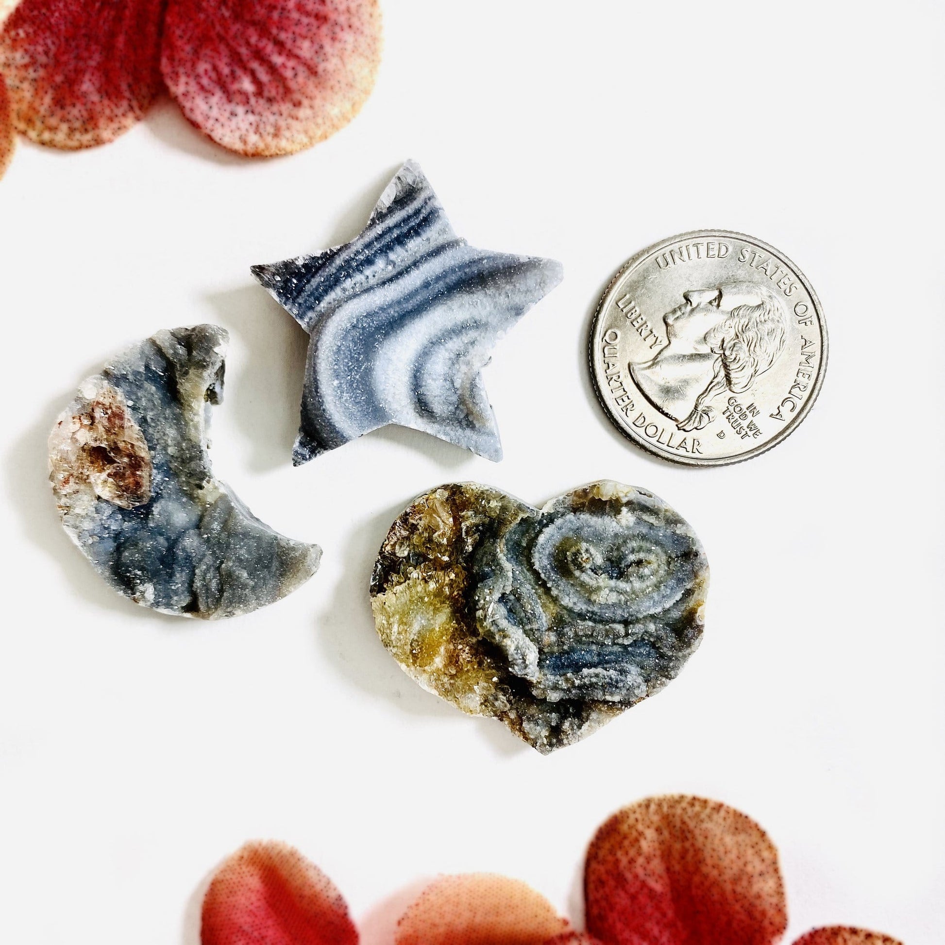 next to a quarter