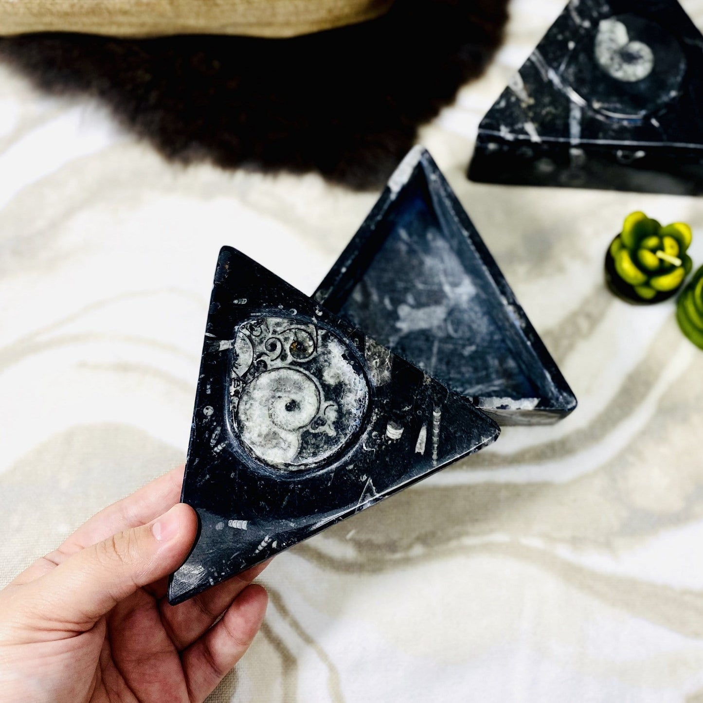 Aerial view of an opened Orthoceras Ammonite Triangle Box., lid held up by hand.