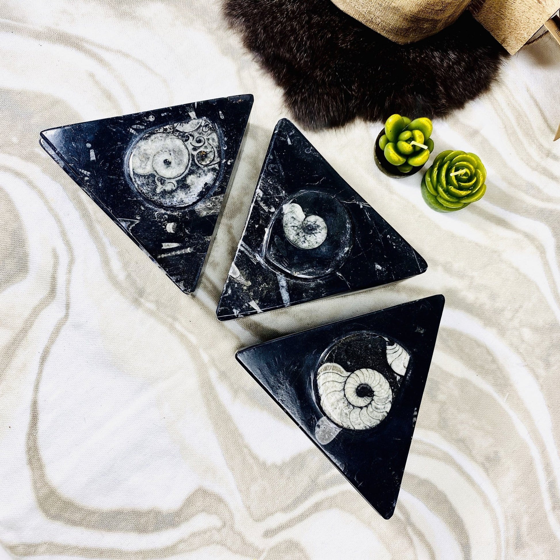 Aerial view of three Orthoceras Ammonite Triangle Boxes.