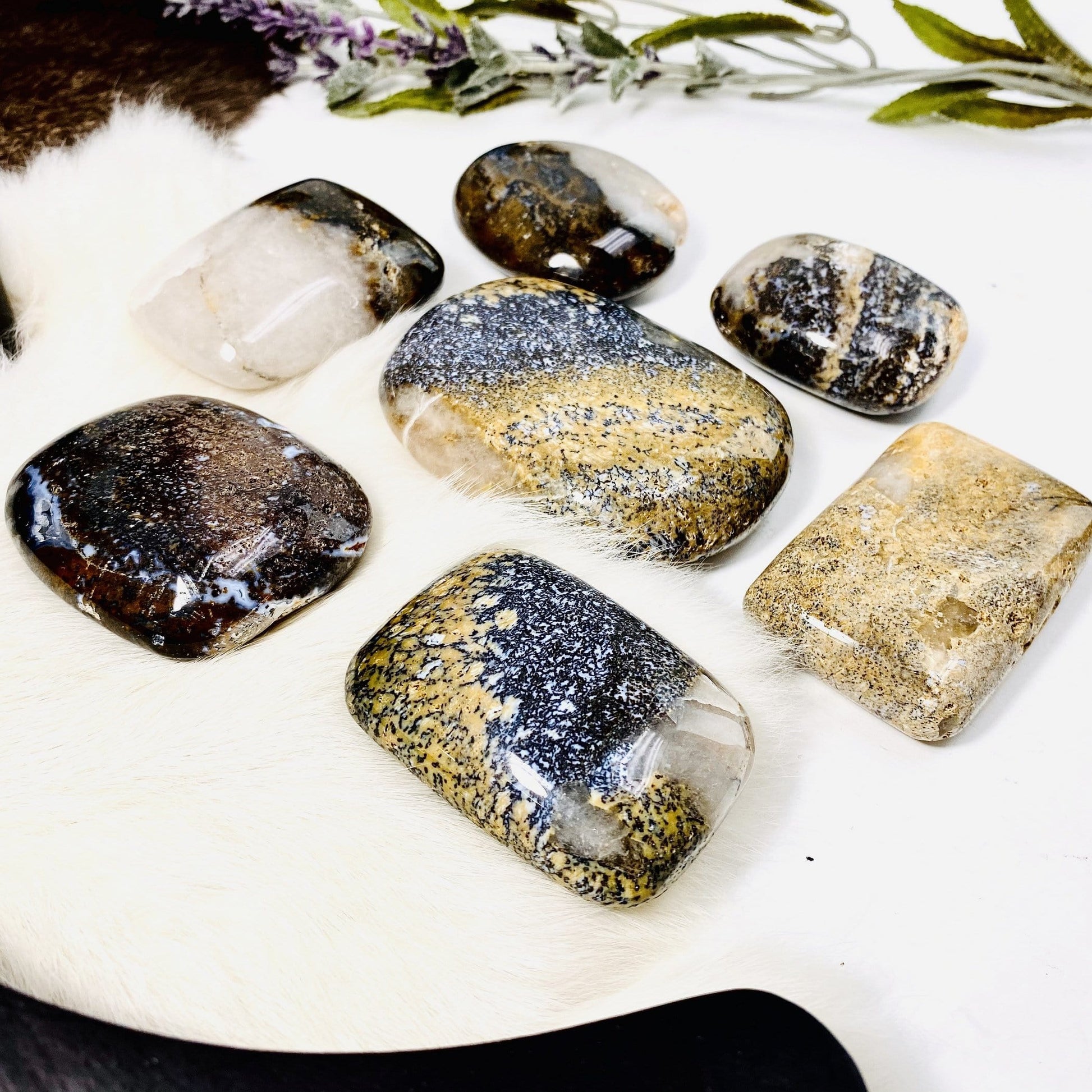 lions eye palm stones with decorations in the background