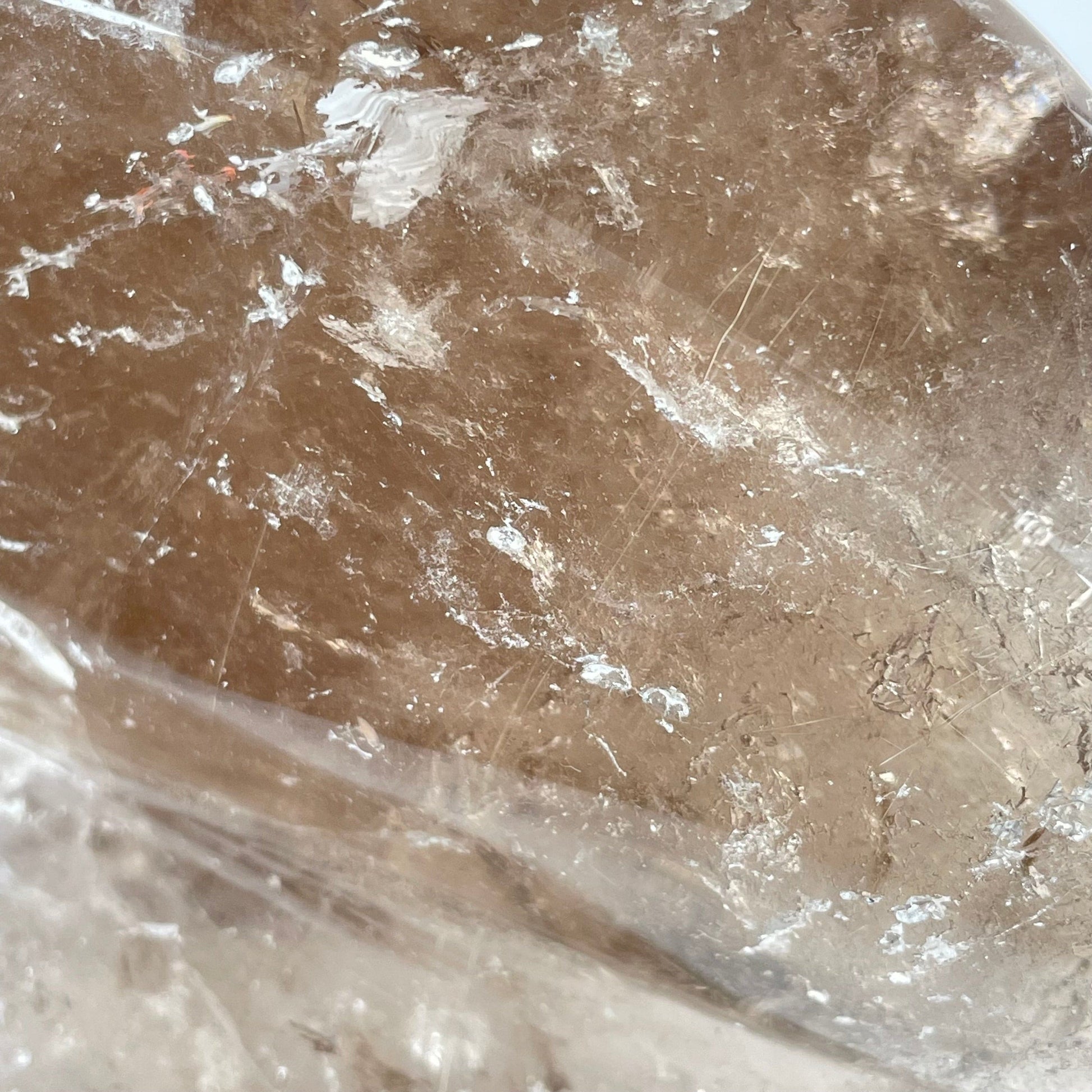 Rutilated Smoky Quartz Crystal Conch Shell - One-of-a-Kind closeup for detail