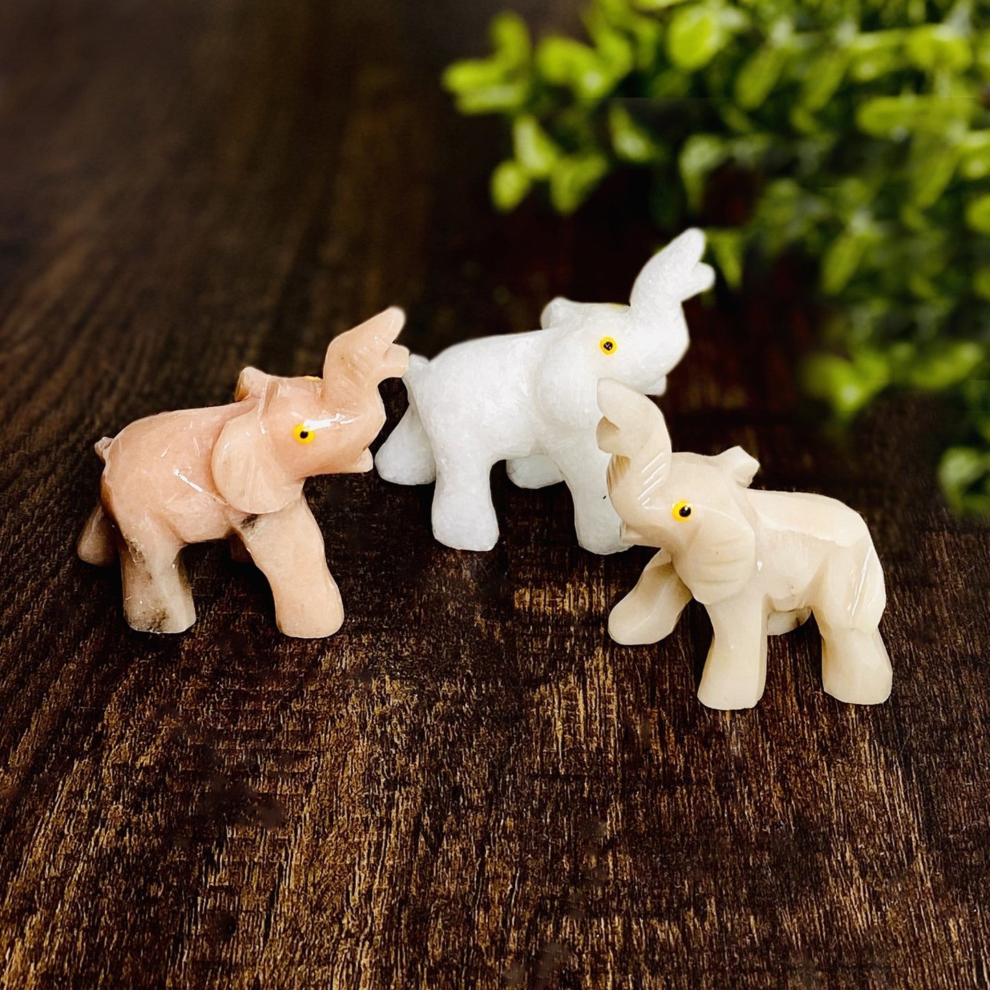 Elephant Shaped Mini Statues displayed next to each other showing different stones 