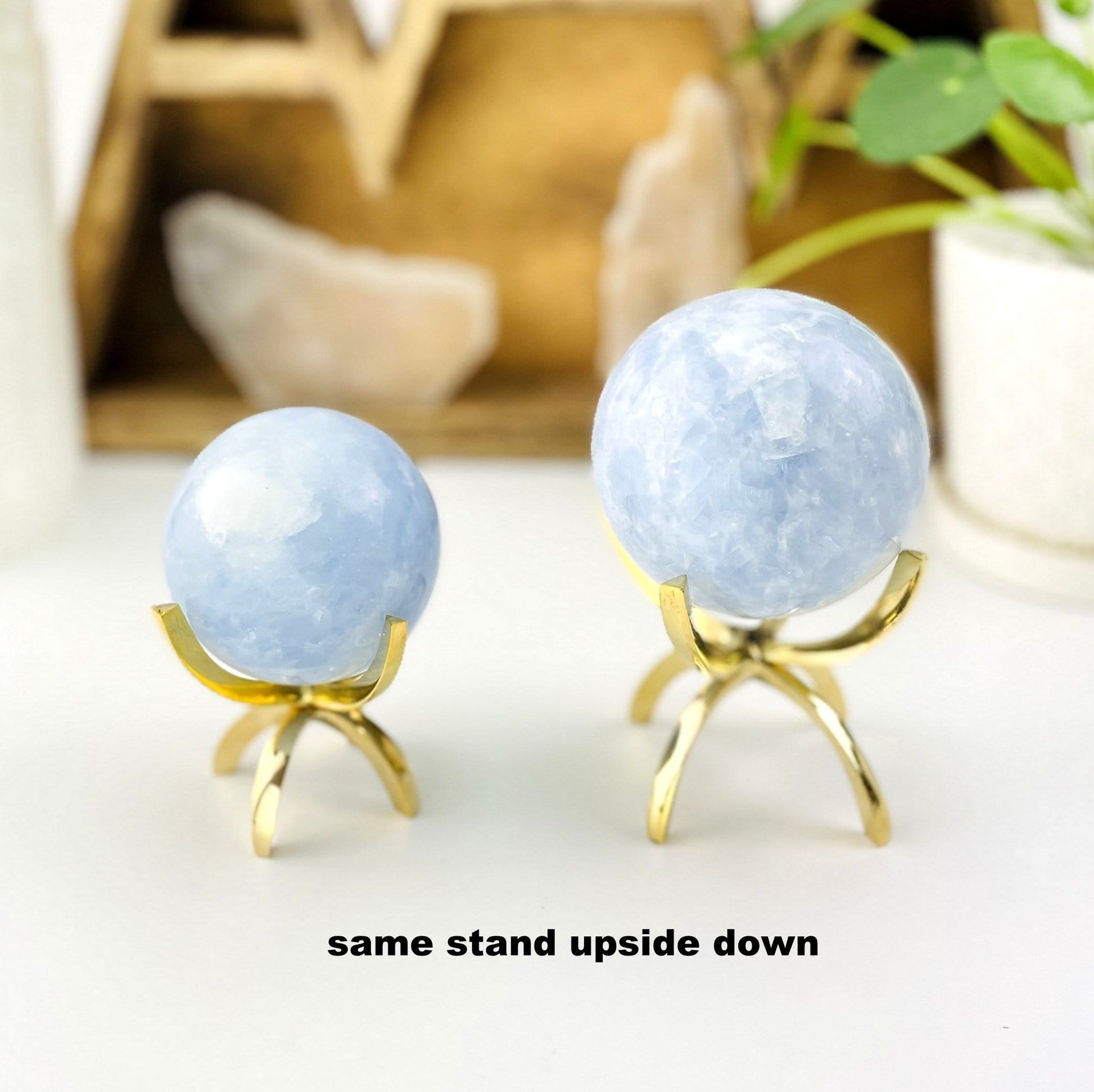 same stand upside down