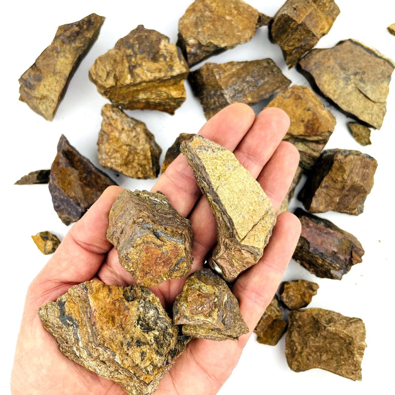 Tigers Eye Rough stones on a table with 4 varying size stones in a hand to show size variations