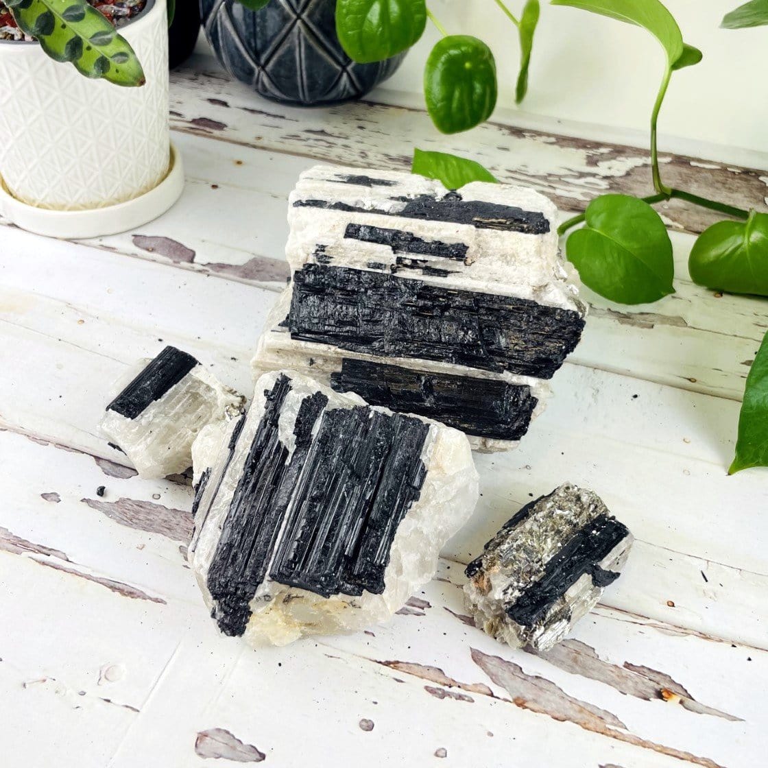 2 large and 2 small pieces of tourmaline on matrix